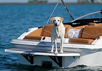 一級小型船舶操縦士で乗れる船のイメージ画像